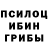 Галлюциногенные грибы прущие грибы ni:)