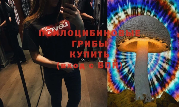 стаф Балабаново