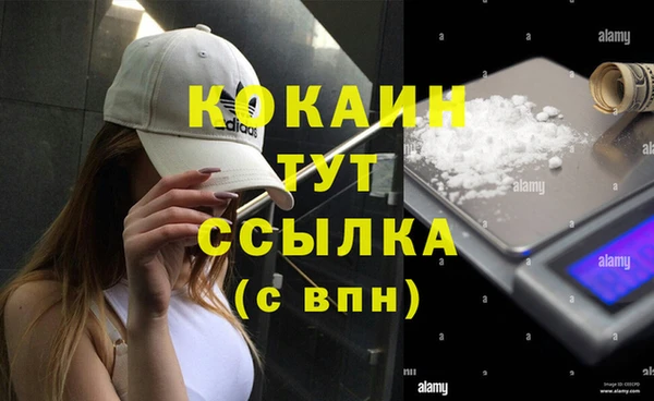 крисы Балахна